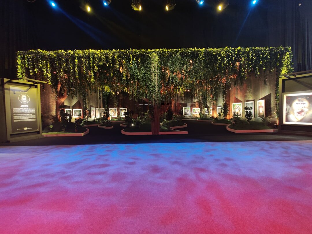 celebrity red carpet event
